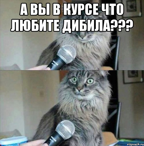 А вы в курсе что любите дибила??? 