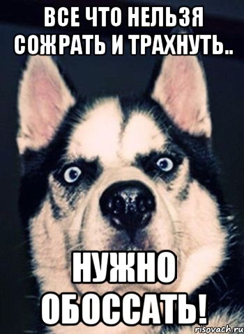 Все что нельзя сожрать и трахнуть.. нужно обоссать!