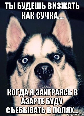 Ты будешь визжать как сучка.... когда я заиграясь в азарте буду съебывать в полях...
