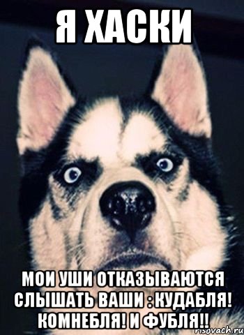 Я хаски Мои уши отказываются слышать ваши : кудабля! комнебля! и фубля!!