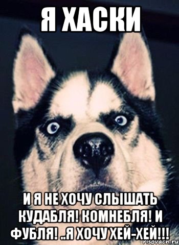 Я хаски И я не хочу слышать Кудабля! Комнебля! и Фубля! ..я хочу Хей-хей!!!