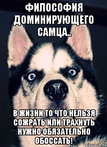 философия доминирующего самца.. В жизни то что нельзя сожрать или трахнуть нужно обязательно обоссать!