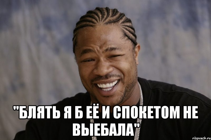  "блять я б её и спокетом не выебала", Мем Xzibit