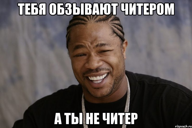 Тебя обзывают читером А ты не читер, Мем Xzibit