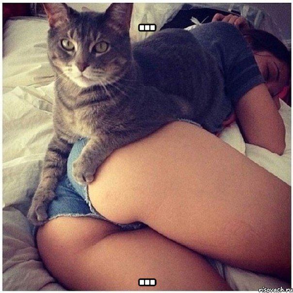 ... ..., Мем Я кот мне можно