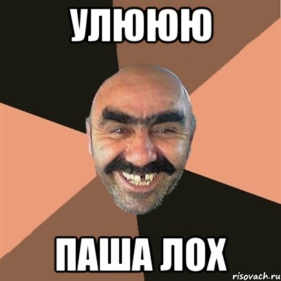 улююю Паша лох, Мем Я твой дом труба шатал