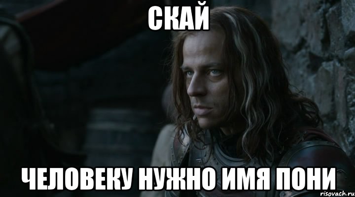 Скай Человеку нужно имя пони