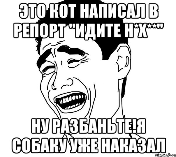 Это кот написал в репорт "идите н*х**" Ну разбаньте!Я собаку уже наказал, Мем Яо минг