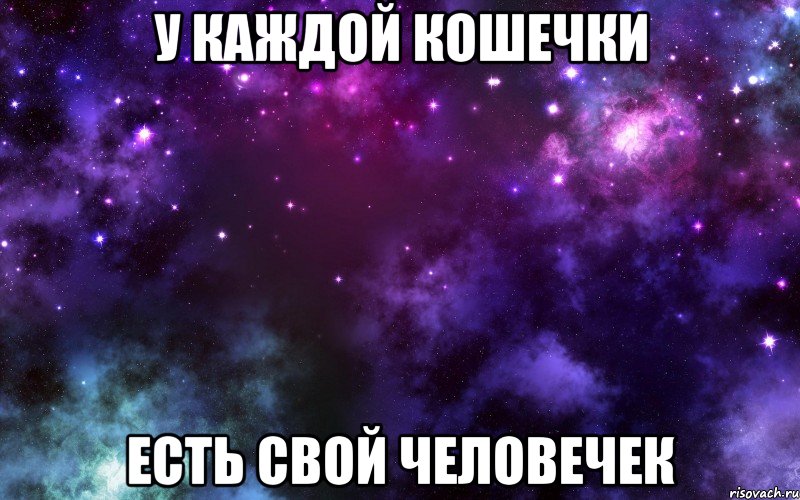 у каждой кошечки есть свой человечек