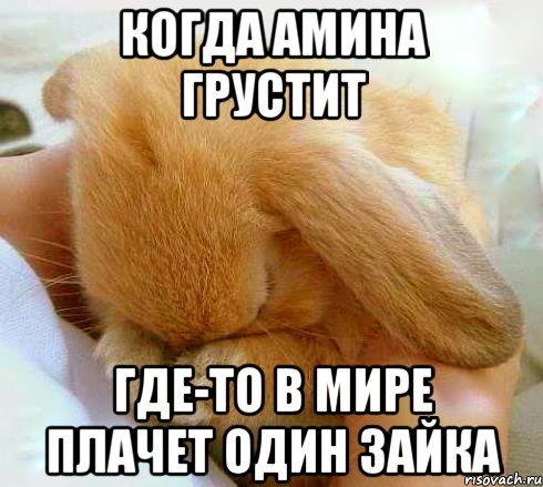 Когда Амина грустит Где-то в мире плачет один зайка