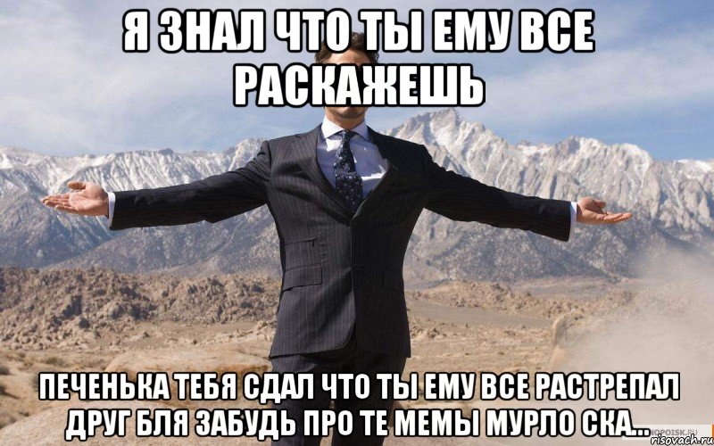 Я знал что ты ему все раскажешь Печенька тебя сдал что ты ему все растрепал друг бля забудь про те мемы Мурло ска..., Мем железный человек