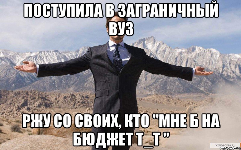 Поступила в заграничный вуз ржу со своих, кто "мне б на бюджет Т_Т ", Мем железный человек