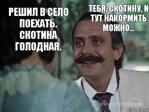 Решил в село поехать. Скотина голодная. Тебя, скотину, и тут накормить можно...