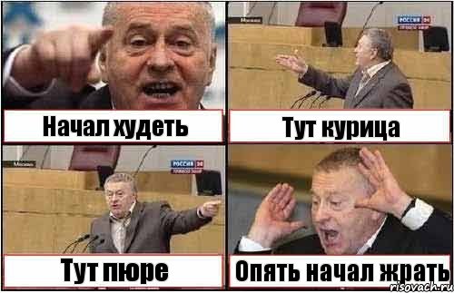 Начал худеть Тут курица Тут пюре Опять начал жрать, Комикс жиреновский