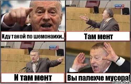 Иду такой по шемонаихи... Там мент И там мент Вы палехче мусора!, Комикс жиреновский