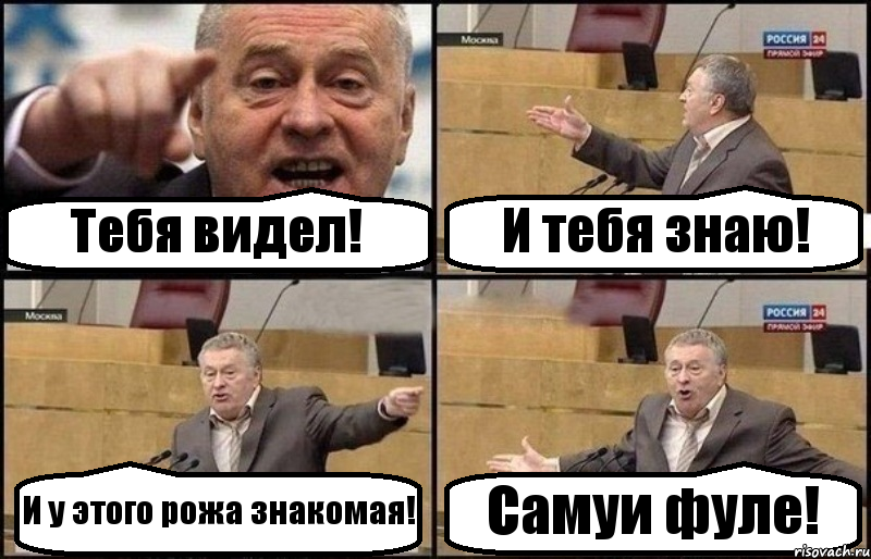 Тебя видел! И тебя знаю! И у этого рожа знакомая! Самуи фуле!, Комикс Жириновский