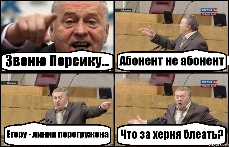 Звоню Персику... Абонент не абонент Егору - линия перегружена Что за херня блеать?, Комикс Жириновский