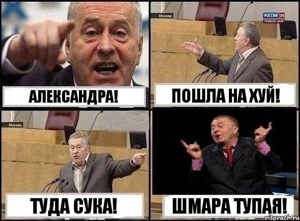 Александра! Пошла на хуй! туда сука! Шмара тупая!, Комикс Жириновский клоуничает