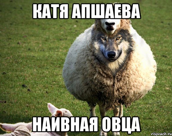 Катя Апшаева Наивная овца, Мем Злая Овца