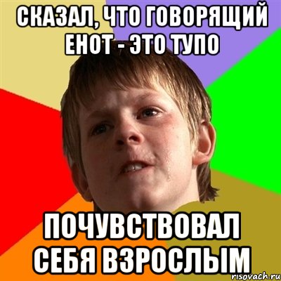 Сказал, что говорящий енот - это тупо Почувствовал себя взрослым, Мем Злой школьник