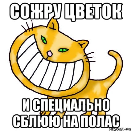 Сожру цветок и специально сблюю на полас