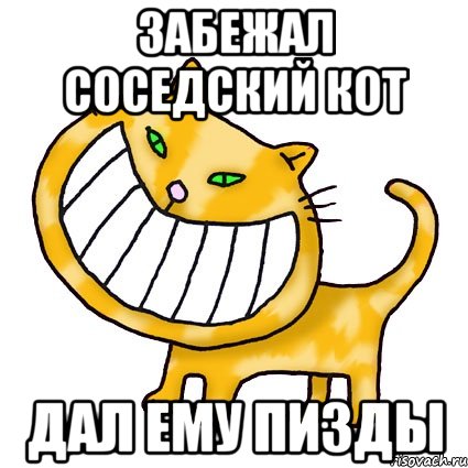 Забежал соседский кот дал ему пизды
