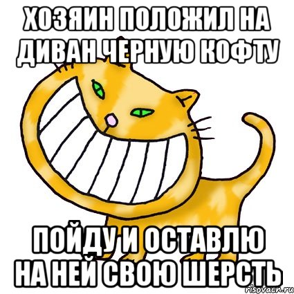хозяин положил на диван черную кофту пойду и оставлю на ней свою шерсть