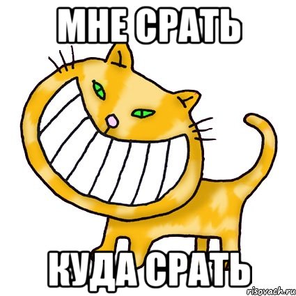 Мне срать куда срать