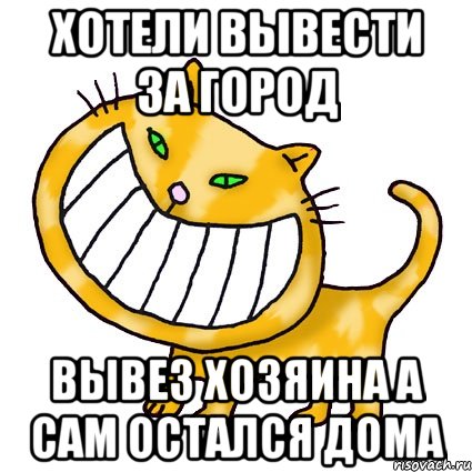 Хотели вывести за город вывез хозяина а сам остался дома