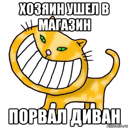 Хозяин ушел в магазин порвал диван
