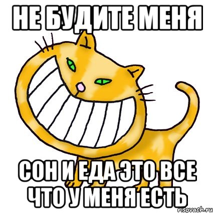 Не будите меня Сон и еда это все что у меня есть