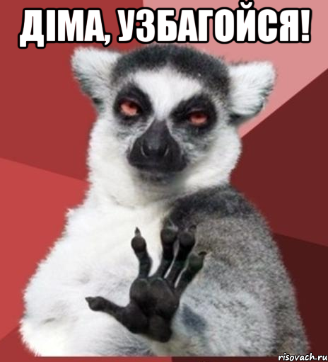 Діма, узбагойся! , Мем Узбагойзя