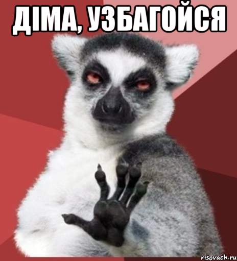 Діма, узбагойся , Мем Узбагойзя