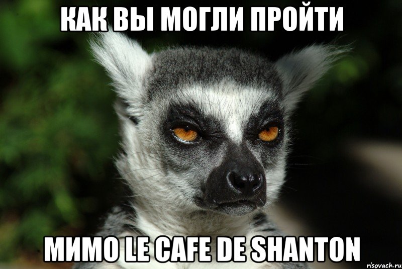 Как вы могли пройти мимо Le Cafe de shanton