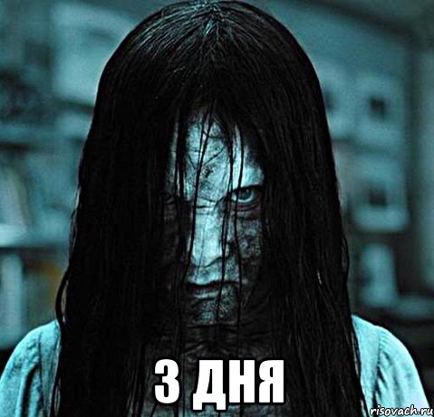  3 ДНЯ