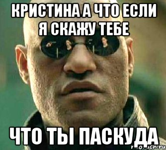 Кристина а что если я скажу тебе что ты паскуда