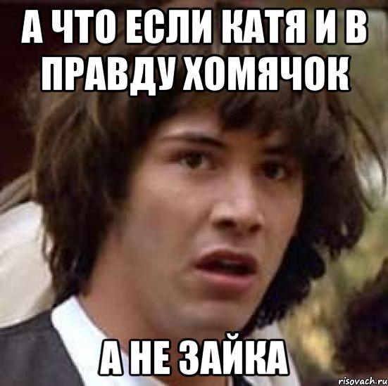 А ЧТО ЕСЛИ КАТЯ И В ПРАВДУ ХОМЯЧОК А НЕ ЗАЙКА, Мем А что если (Киану Ривз)