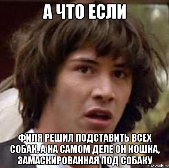 А что если Филя решил подставить всех собак, а на самом деле он кошка, замаскированная под собаку, Мем А что если (Киану Ривз)
