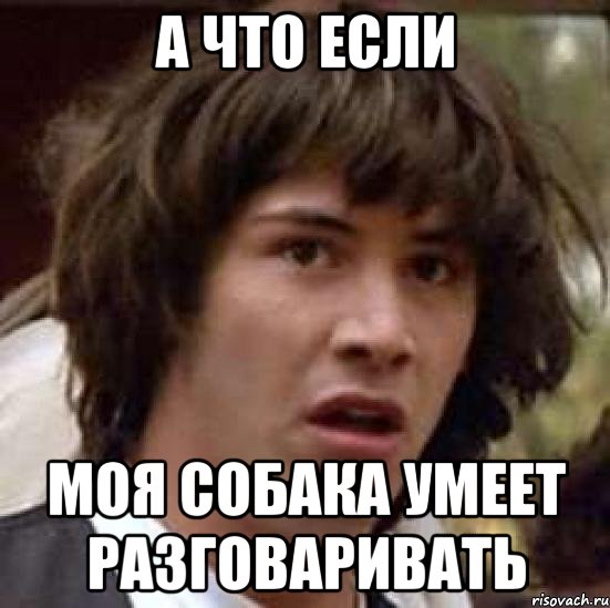 а что если Моя собака умеет разговаривать, Мем А что если (Киану Ривз)