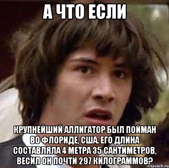 а что если Крупнейший аллигатор был пойман во Флориде, США. Его длина составляла 4 метра 35 сантиметров, весил он почти 297 килограммов?, Мем А что если (Киану Ривз)