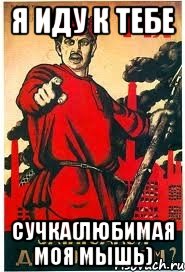 я иду к тебе СУЧКА(любимая моя мышь)