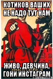 котиков ваших не надо тут нам живо, девчина, гони инстаграм