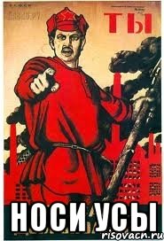  НОСИ УСЫ
