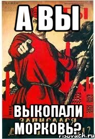 а вы выкопали морковь?