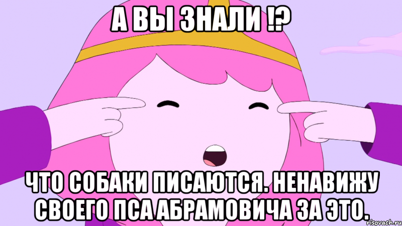 А вы знали !? Что собаки писаются. Ненавижу своего пса Абрамовича за это.