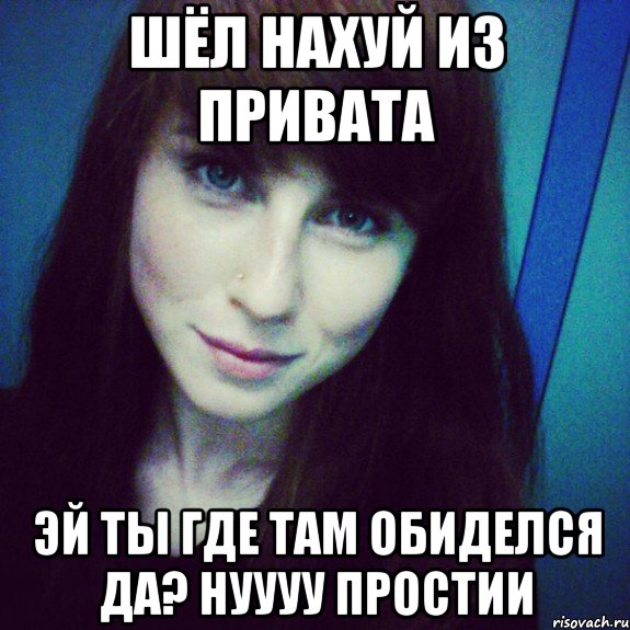 шёл нахуй из привата эй ты где там обиделся да? нуууу простии, Мем а