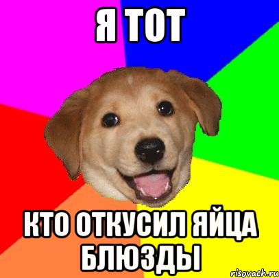 я тот кто откусил яйца блюзды, Мем Advice Dog