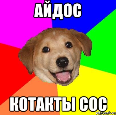 Айдос котакты сос, Мем Advice Dog