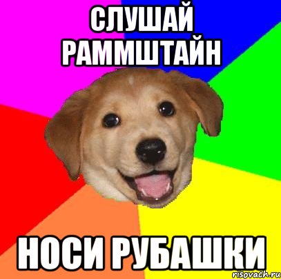 слушай раммштайн носи рубашки, Мем Advice Dog