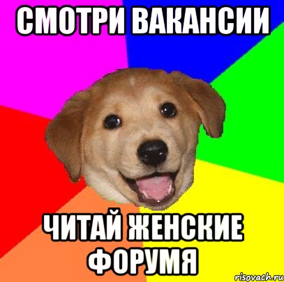 смотри вакансии читай женские форумя, Мем Advice Dog